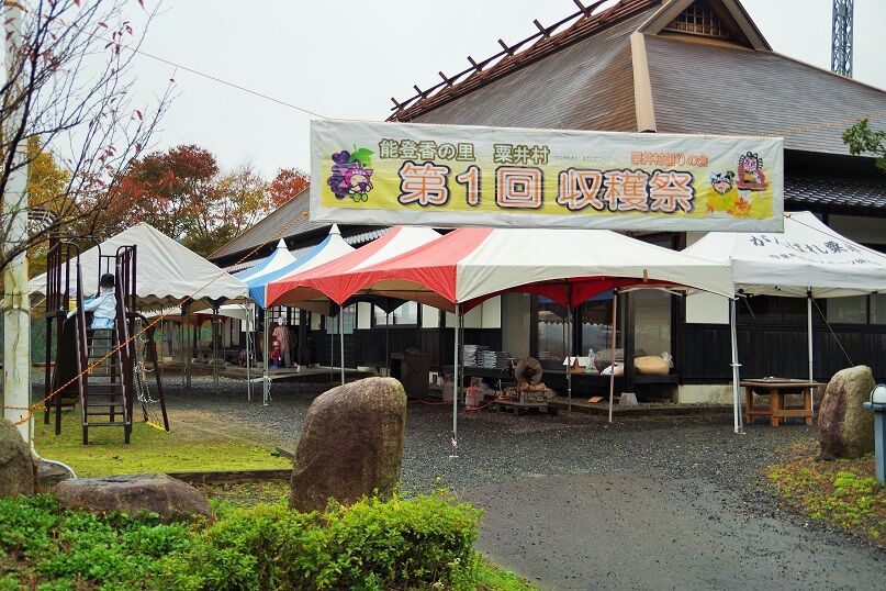 IMGP2497