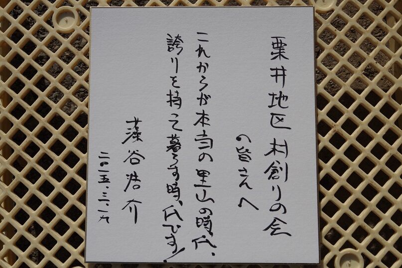 IMGP3155