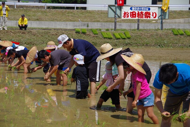 田植え