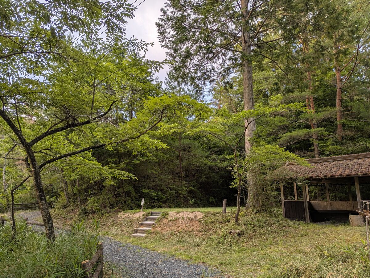 テントサイトE — 東屋近くの自然豊かなサイト