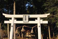 諏訪大明神